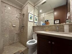 Bukit Timah Road (D10), Condominium #577685141